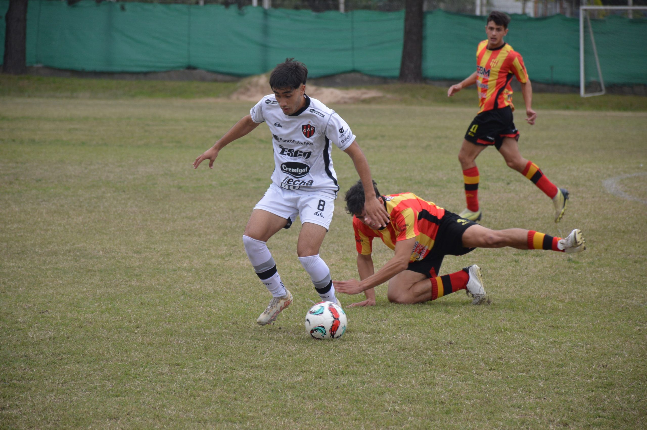 Liga Paranaense | Patrón y líder