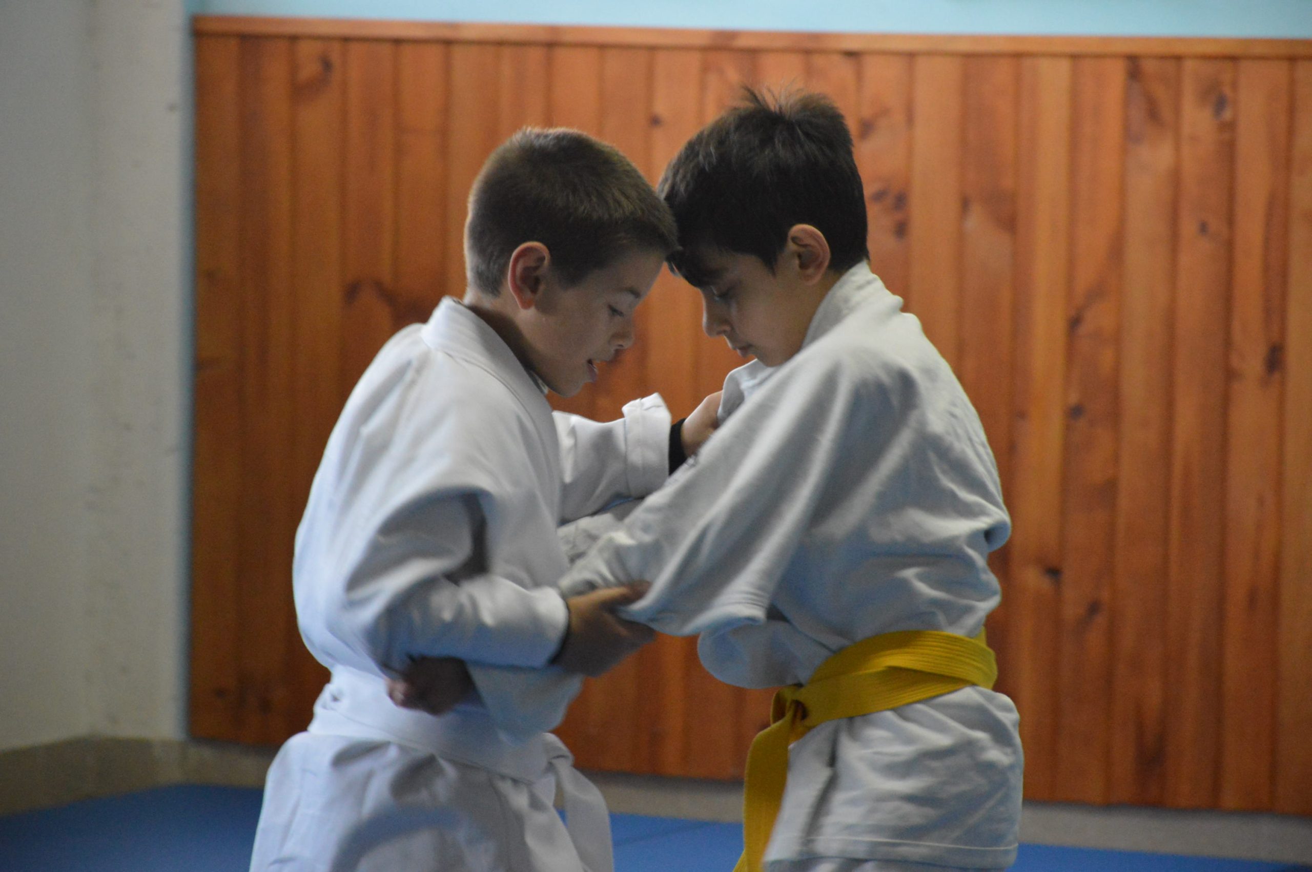 Judo | Días y horarios