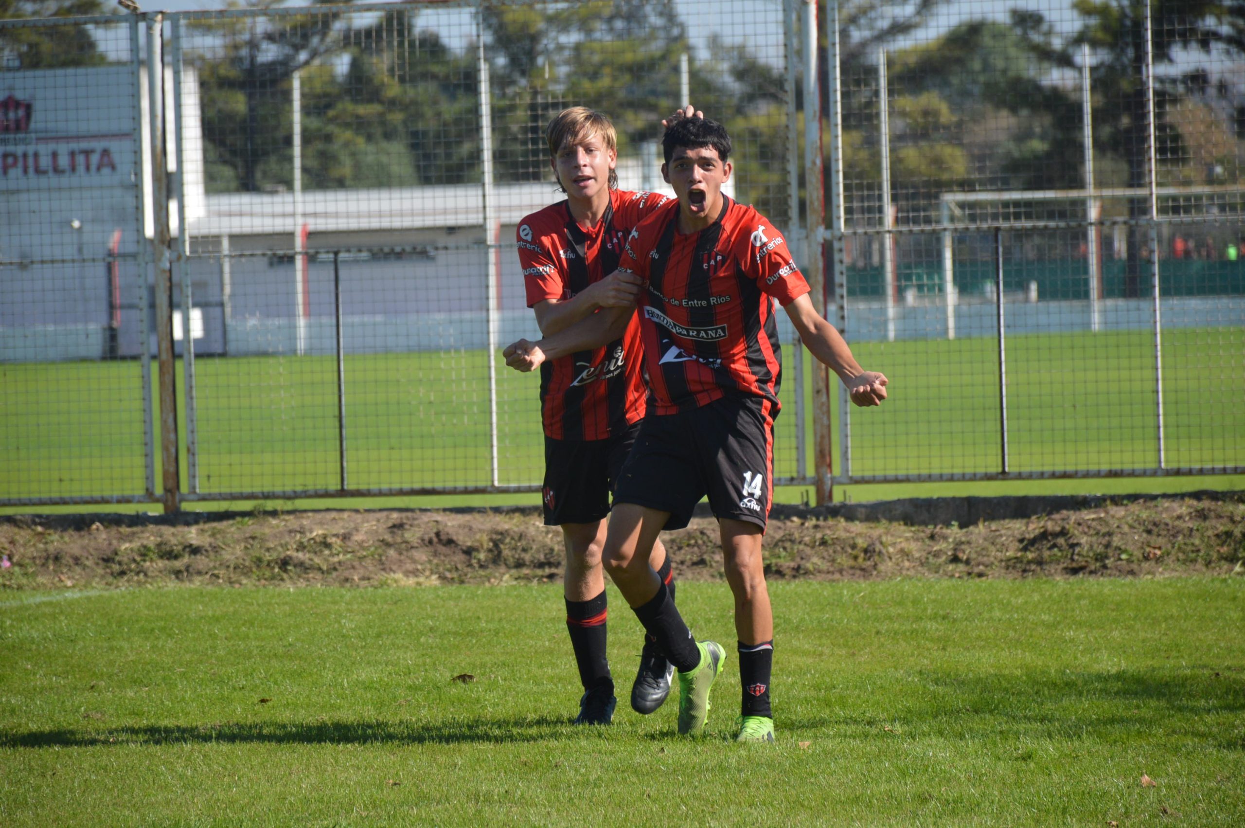 Inferiores AFA: Jornada ante el Tiburón