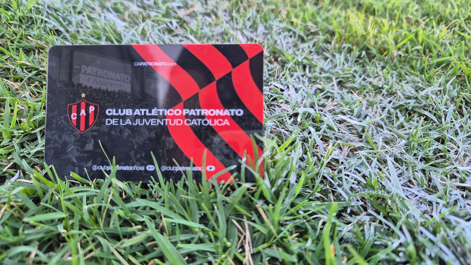 Socios | Actualización cuotas societarias